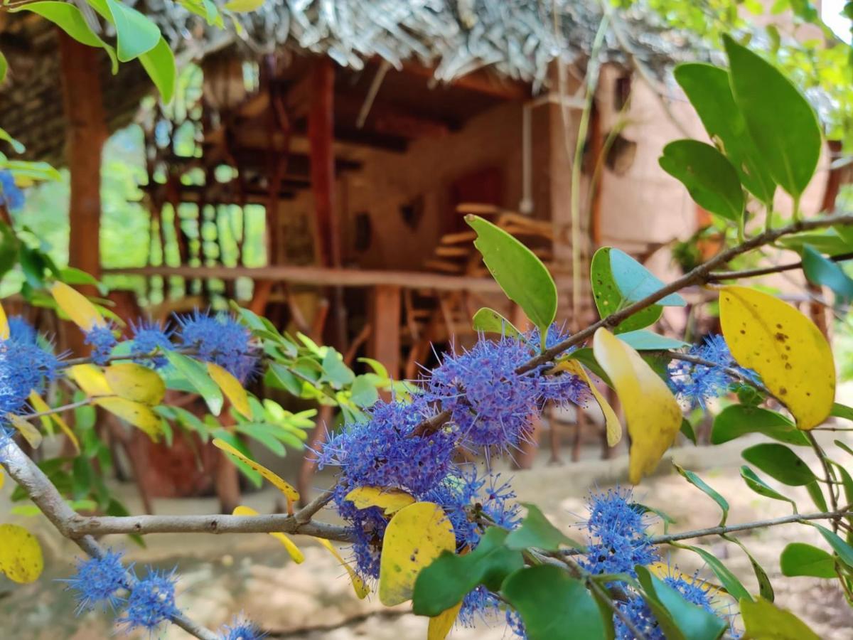 Relax Nature Villa Sigiriya Exterior photo